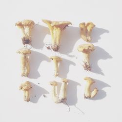 Close-up of food on table