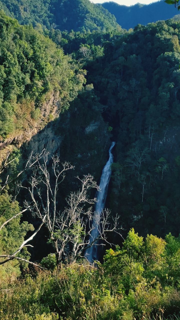 water, beauty in nature, waterfall, tree, nature, rock - object, scenics, motion, tranquility, forest, tranquil scene, plant, flowing water, rock formation, sunlight, idyllic, long exposure, rock, growth, mountain