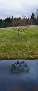 Scenic view of field by lake against sky