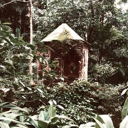 High angle view of birdhouse in forest