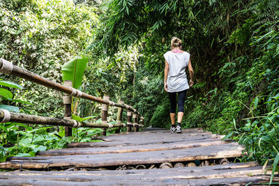 Rear view of man walking on footpath in forest