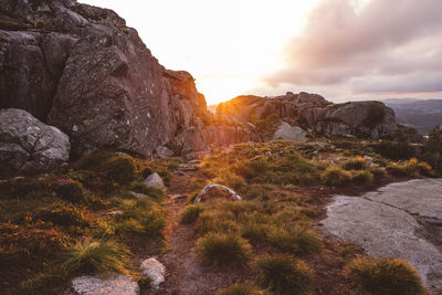 Hiking path during sunset amidst rocks at norwegian mountains