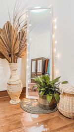 Potted plants on table at home