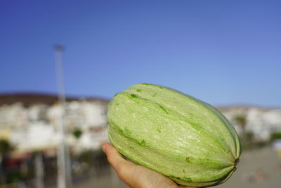Close-up of hand holding apple against clear sky
