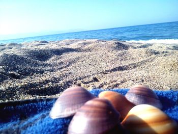 Close-up of hand on sand at beach against clear sky