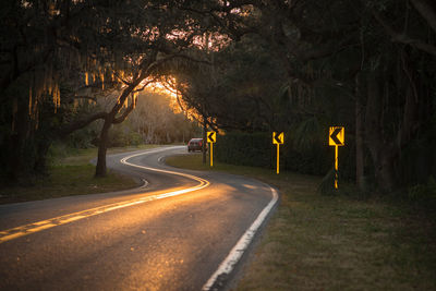 Empty road along trees