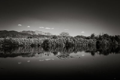 Scenic view of lake by trees against sky