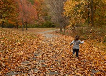 Rear view of woman walking on autumn leaves in forest