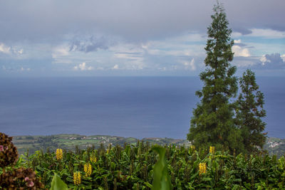 Scenic view of sea against sky