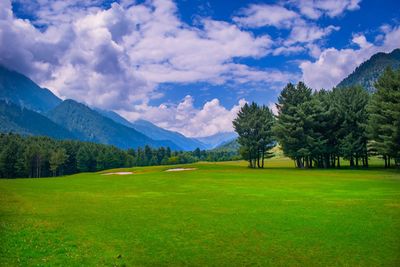 Scenic view of field against sky