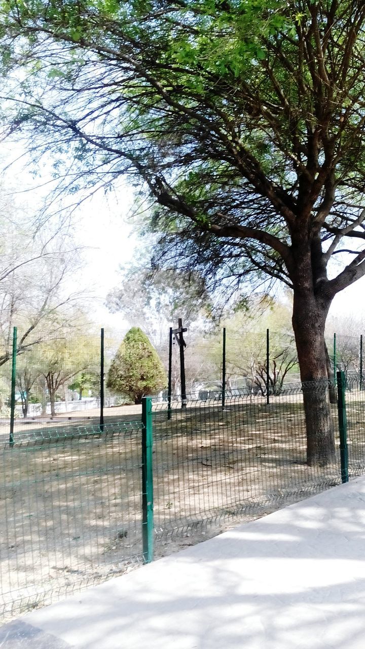 tree, road, tranquility, the way forward, tranquil scene, nature, park - man made space, footpath, landscape, tree trunk, treelined, empty, fence, sky, scenics, shadow, branch, day, street, beauty in nature