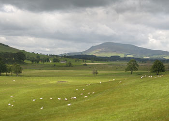 Scenic view of field against cloudy sky