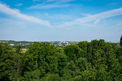 High angle view of trees and buildings against sky