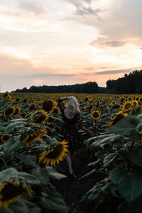 Person on field against sky during sunset