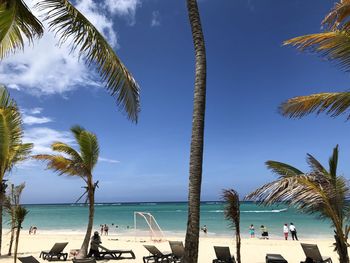 Panoramic view of coconut palm trees on beach against sky