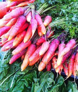 Close-up of red chili peppers