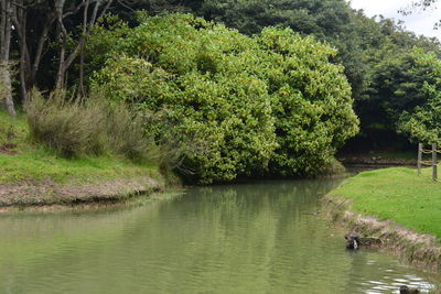 View of a lake