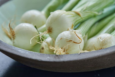 High angle view of fresh vegetables in bowl