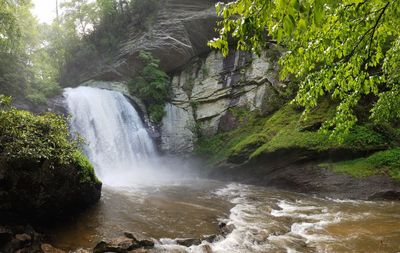 Scenic view of waterfall in forest