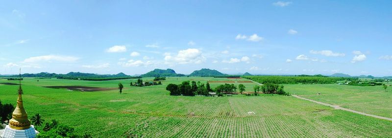 Panoramic view of agricultural field against sky