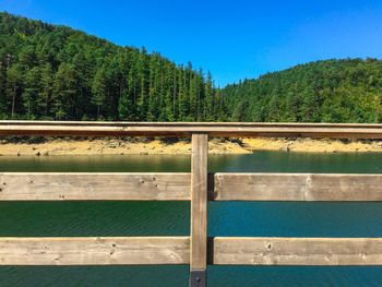 Scenic view of forest against clear blue sky