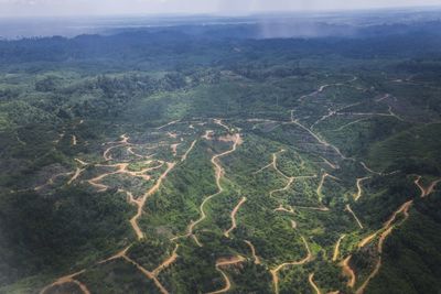 High angle view of agricultural landscape