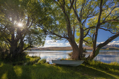 Trees by lake against sky