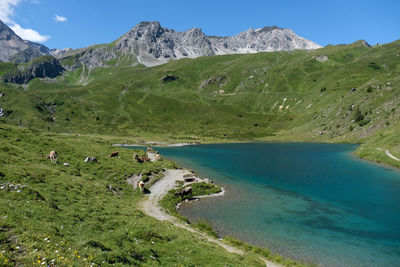 Scenic view of landscape against sky