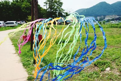 View of trees in field