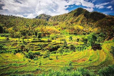 Scenic view of landscape against cloudy sky