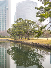 Reflection of trees and buildings in lake