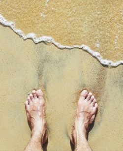 Low section of people standing on beach