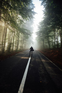 Rear view of man riding bicycle on asphalt road in the majestic forest at sunrise.