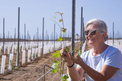 Close-up of senior woman touching plant at farm