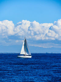 Sailboat sailing in sea against sky