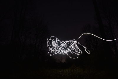 Light painting on tree against sky at night