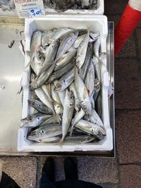 Directly above shot of fish for sale in market