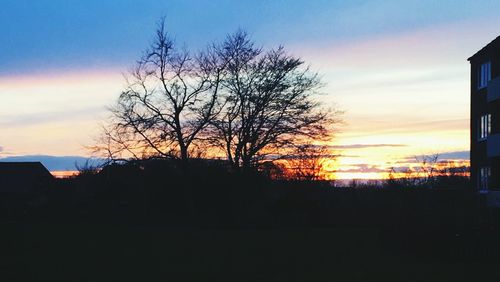 Silhouette trees against sky during sunset