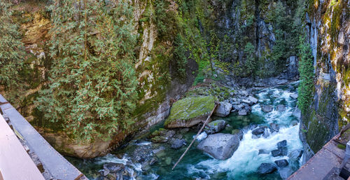 Scenic view of river flowing through rocks in forest