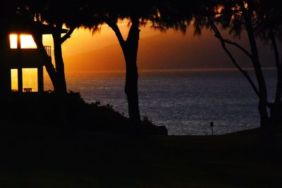 Silhouette trees by sea against sky during sunset