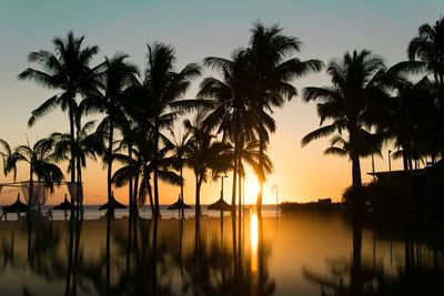 Silhouette palm trees at beach against sky during sunset