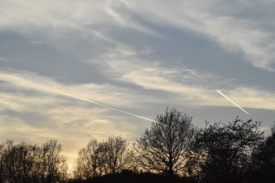 Low angle view of silhouette trees against sky