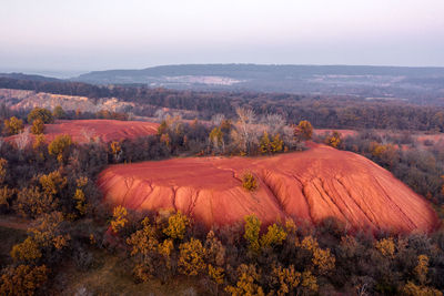 High angle view of trees on landscape