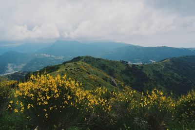 Scenic view of mountains against sky