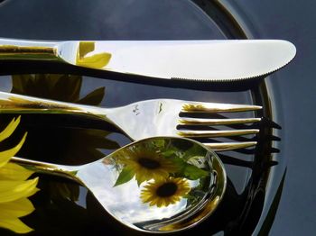 Close-up of sunflowers reflecting in plate