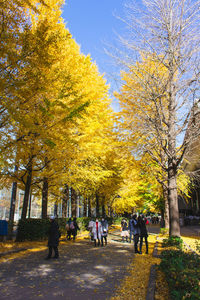 Man standing on footpath in park