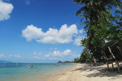 Scenic view of beach