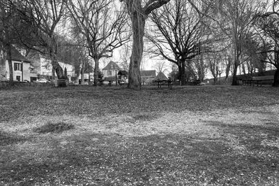 Bare trees on field by building