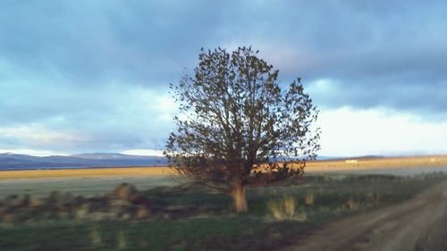 Scenic view of field against cloudy sky