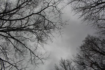 Low angle view of bare tree against sky